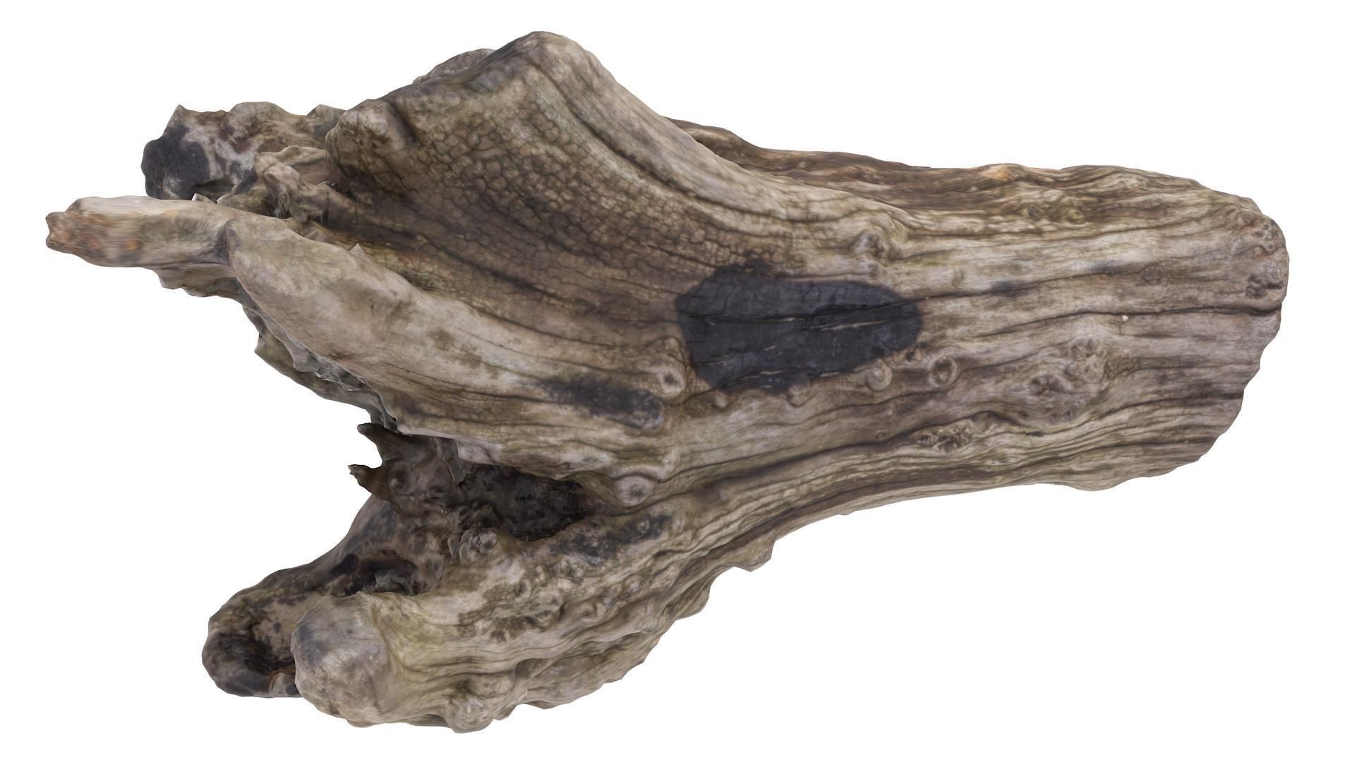 Petrified Wood Stump - High and Low Poly versions Low-poly 3D model_6
