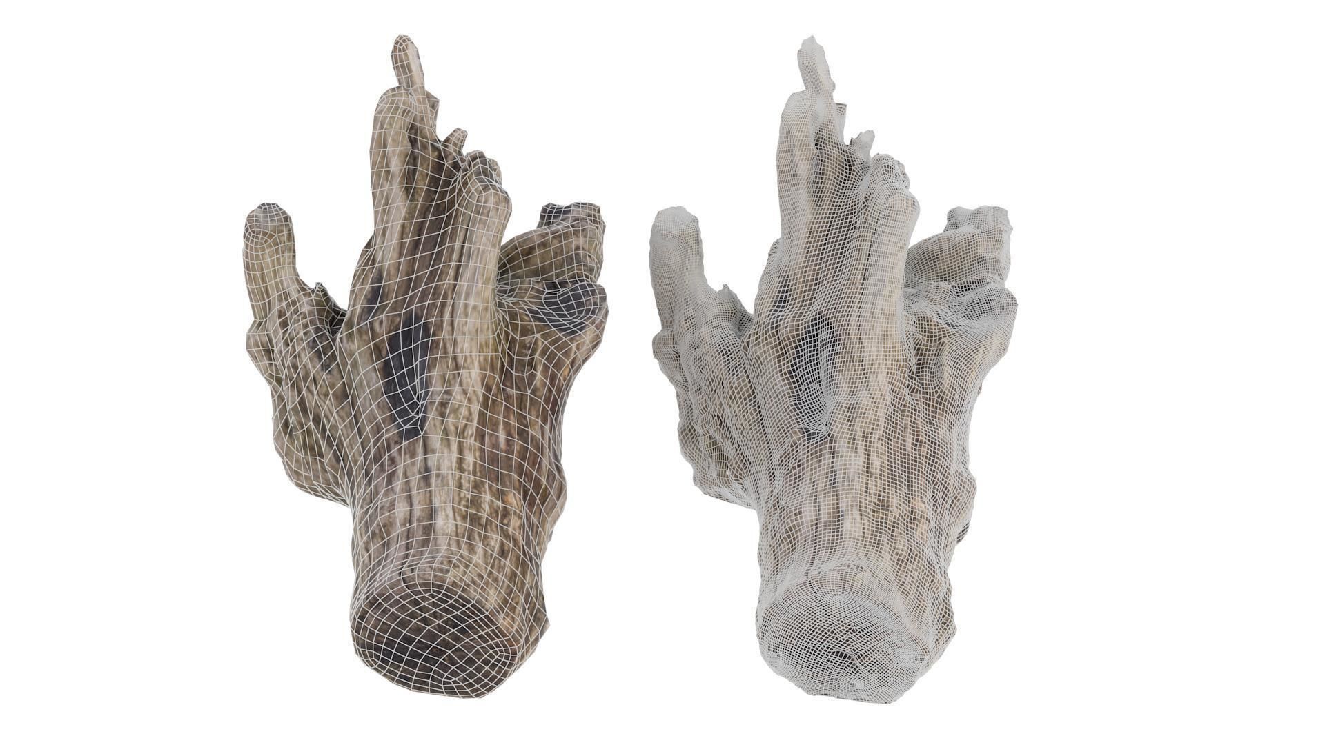 Petrified Wood Stump - High and Low Poly versions Low-poly 3D model_1