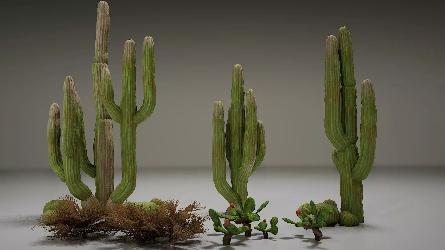 3D model Cactus Pack 02 VR / AR / low-poly | CGTrader