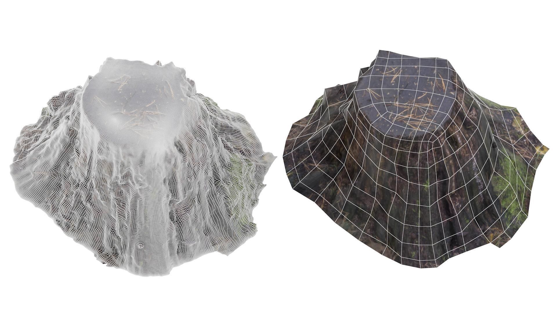 Tree Stump 01 - High and Low Poly versions Low-poly 3D model_1