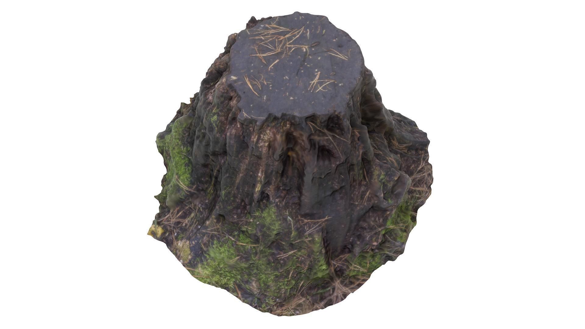 Tree Stump 01 - High and Low Poly versions Low-poly 3D model_4