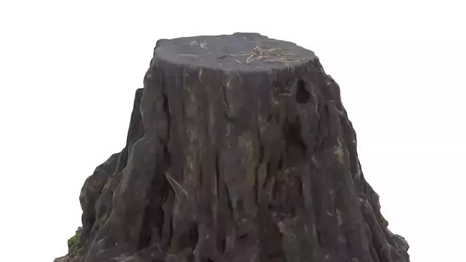 Tree Stump 01 - High and Low Poly versions Low-poly 3D model