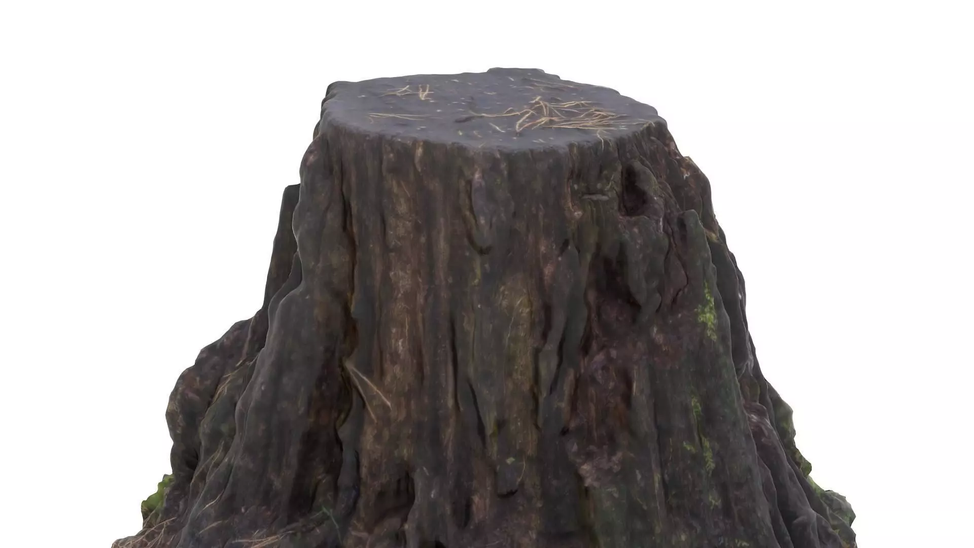 Tree Stump 01 - High and Low Poly versions Low-poly 3D model_0