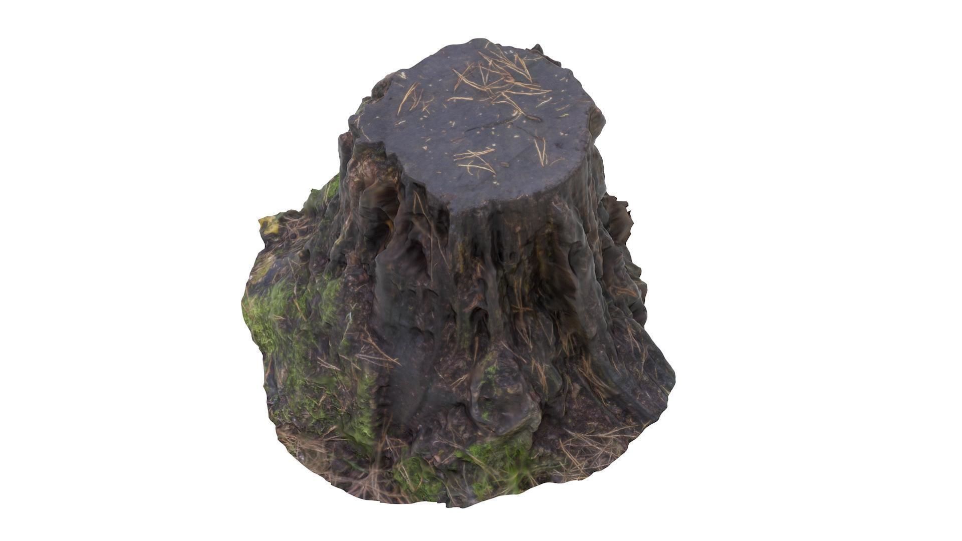 Tree Stump 01 - High and Low Poly versions Low-poly 3D model_2