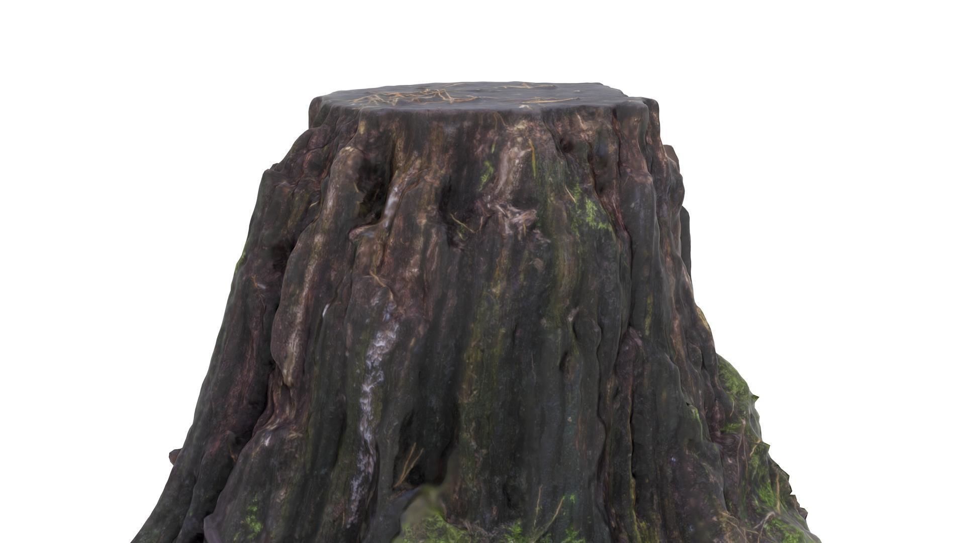 Tree Stump 01 - High and Low Poly versions Low-poly 3D model_3