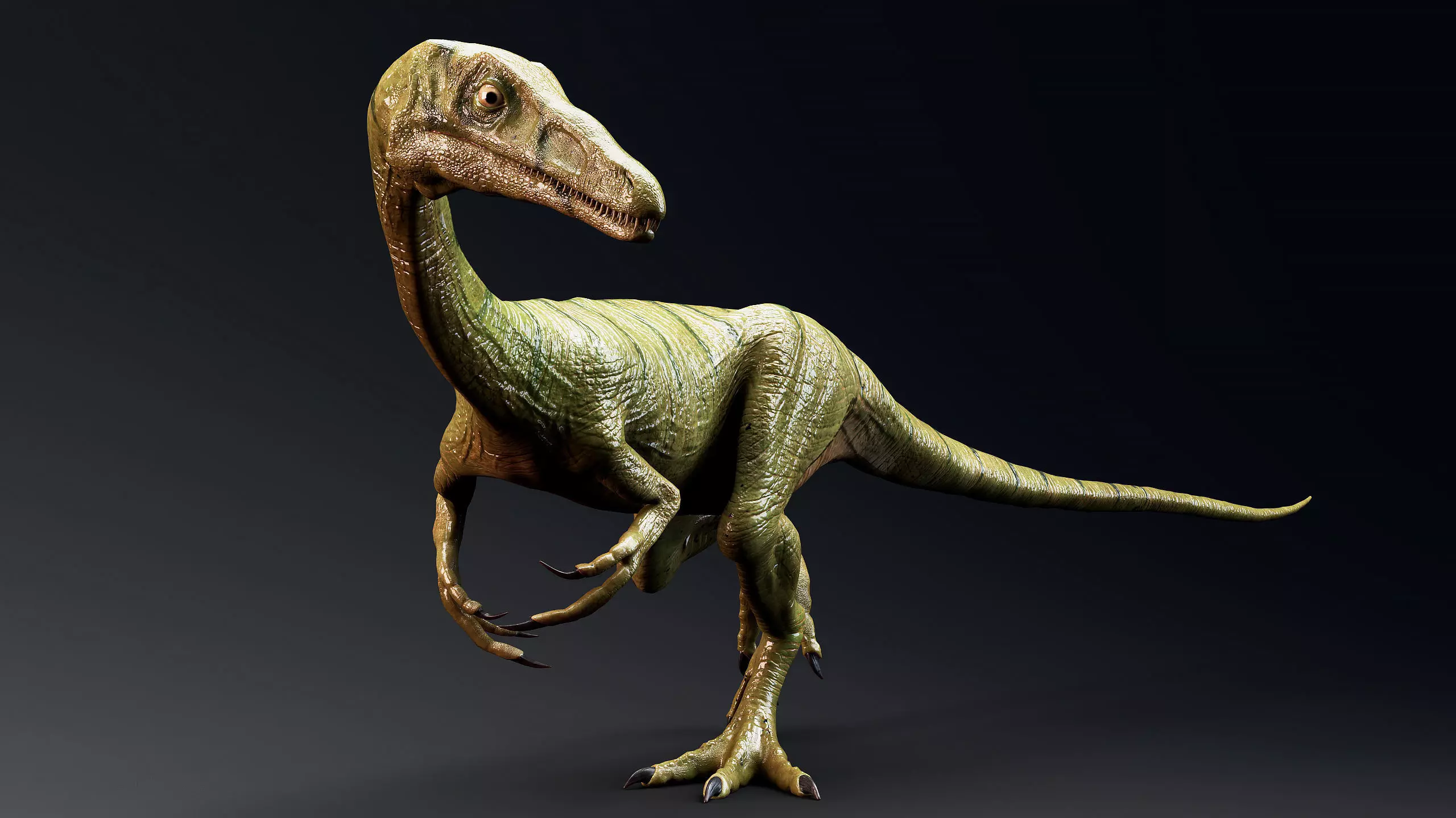 Dinosaur-Compsognathus - 110 Animations - Unity Projects Low-poly 3D model