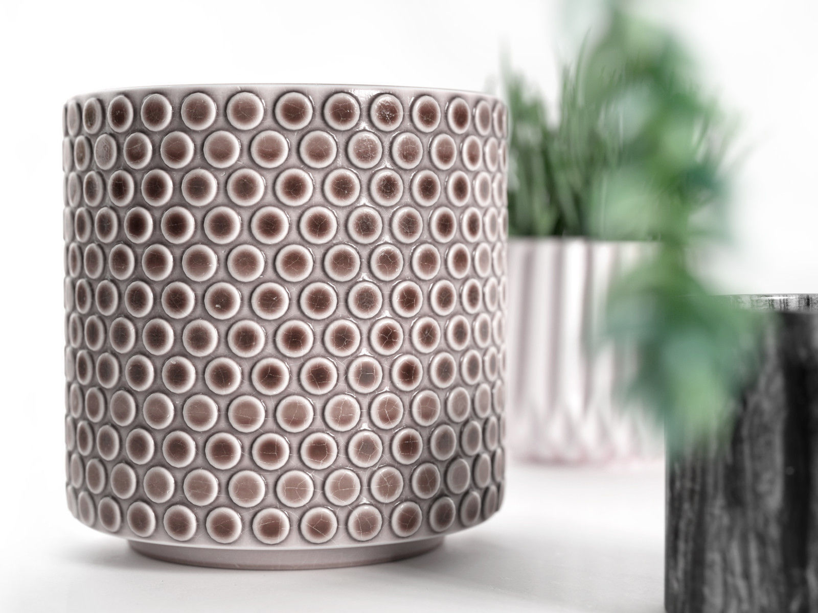 Pots with Donkey s Tail and Aloe Vera 3D model_2