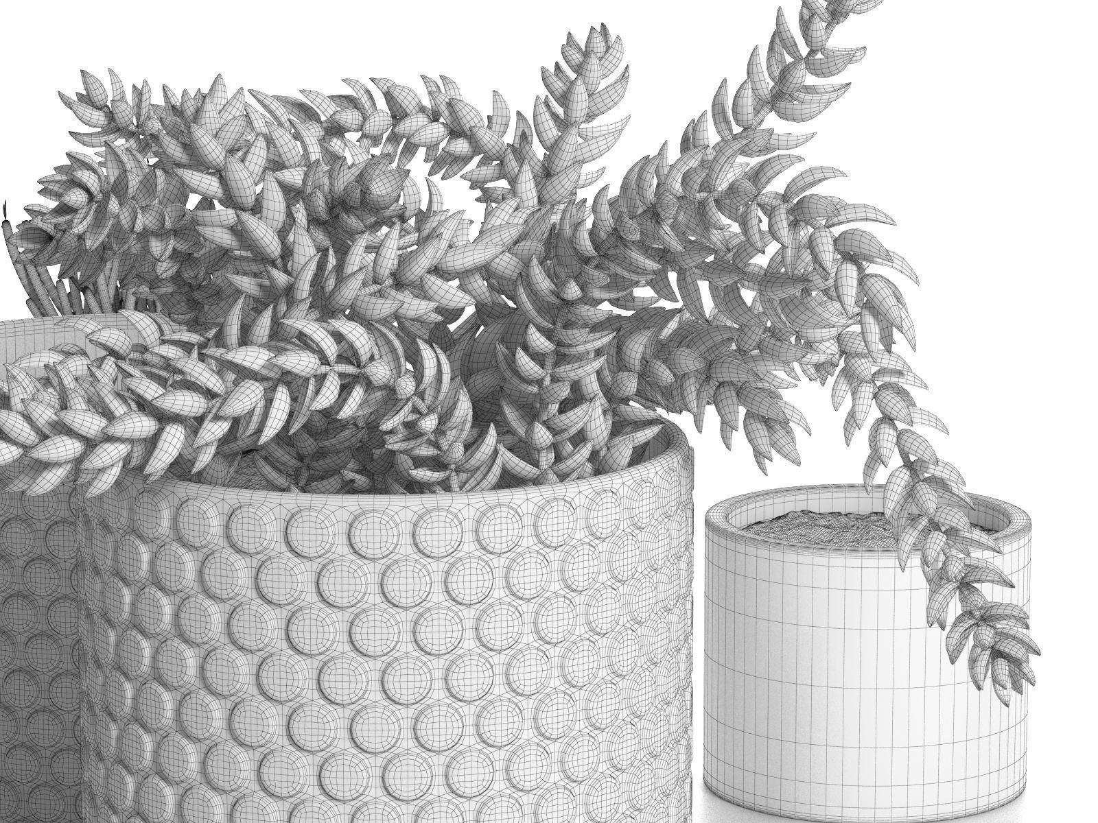 Pots with Donkey s Tail and Aloe Vera 3D model_3