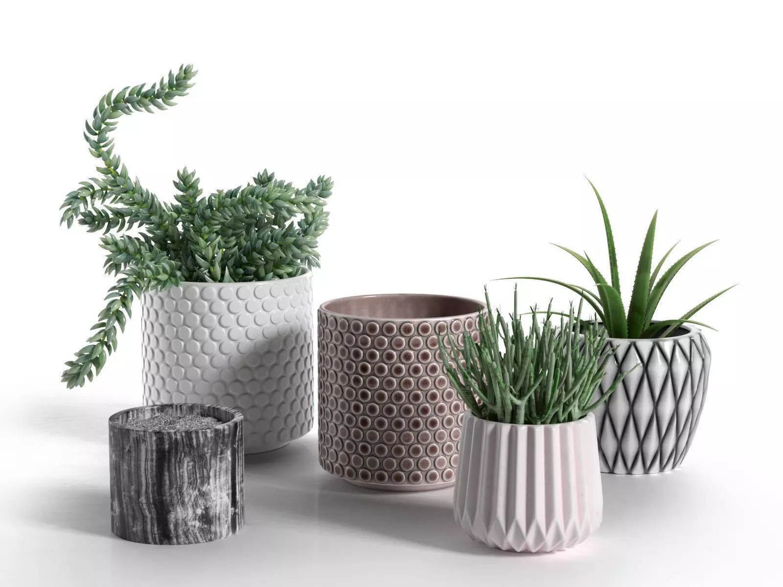 Pots with Donkey s Tail and Aloe Vera 3D model_0