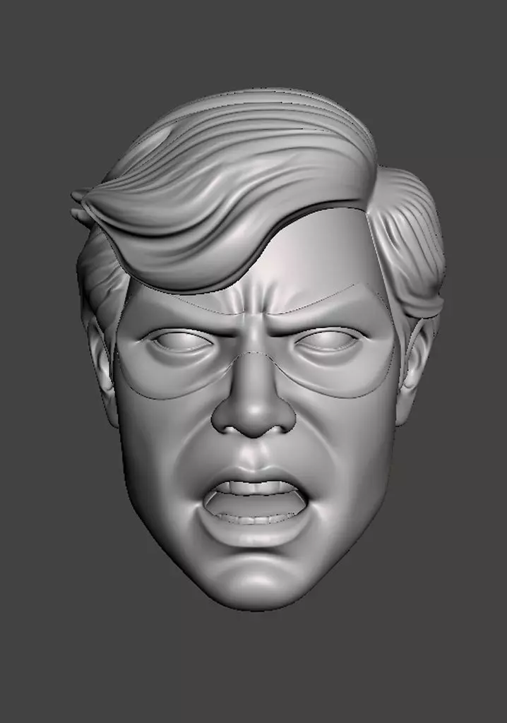Robin headsculpt head sculpt 3D print model