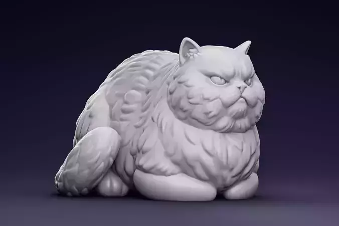 Grumpy Fluffy Persian Cat