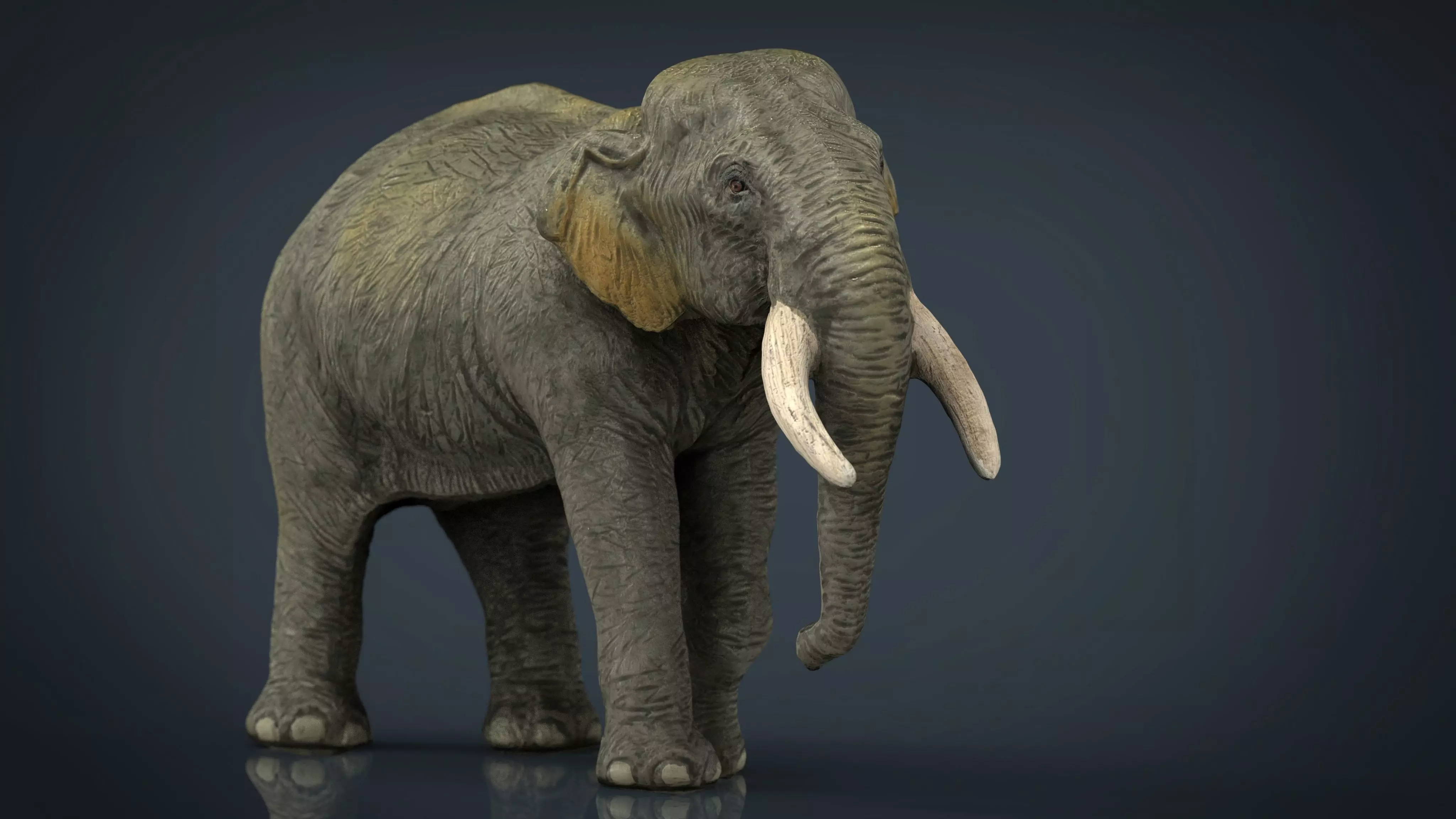 Asian Elephant Mother Low-poly 3D model