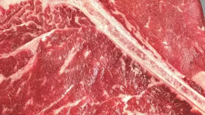 T Bone Beef Steak 3D model 3