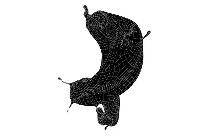 Abstract Splash of Liquid v1 002 Low-poly 3D model 6