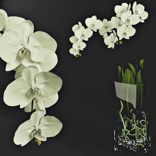 Orchid flowers  in glass vase  3D model