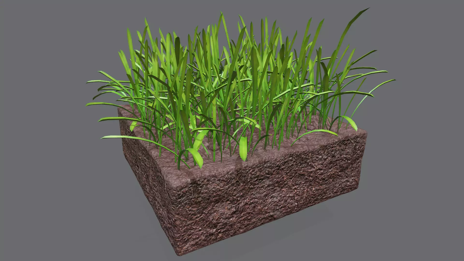 tender grass Low-poly 3D model
