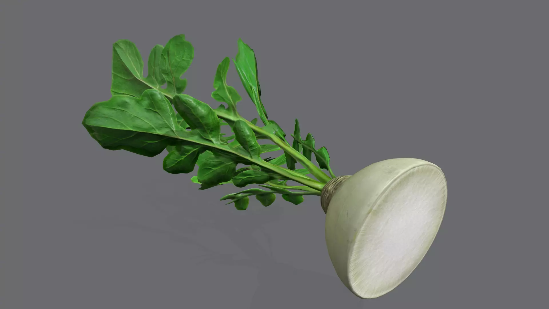 White radish Low-poly 3D model