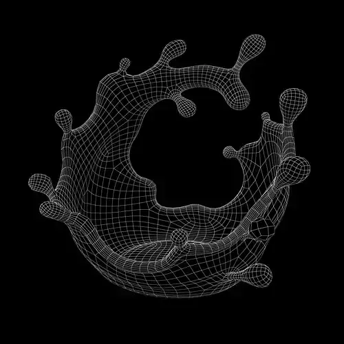 Abstract Splash of Liquid v3 001 Low-poly 3D model 7