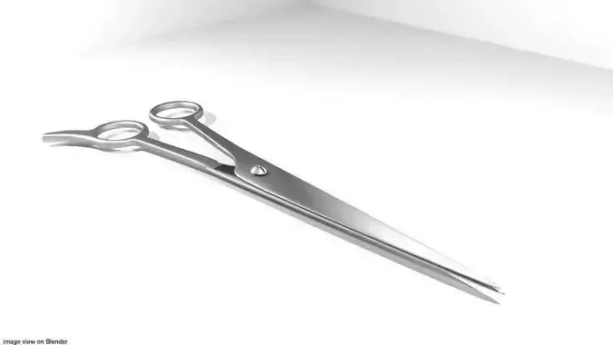 Barber Equipment - Scissor