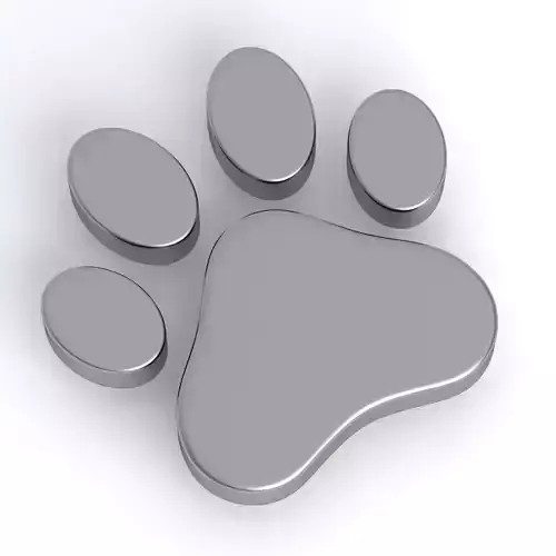 Dog Paw Print Silver