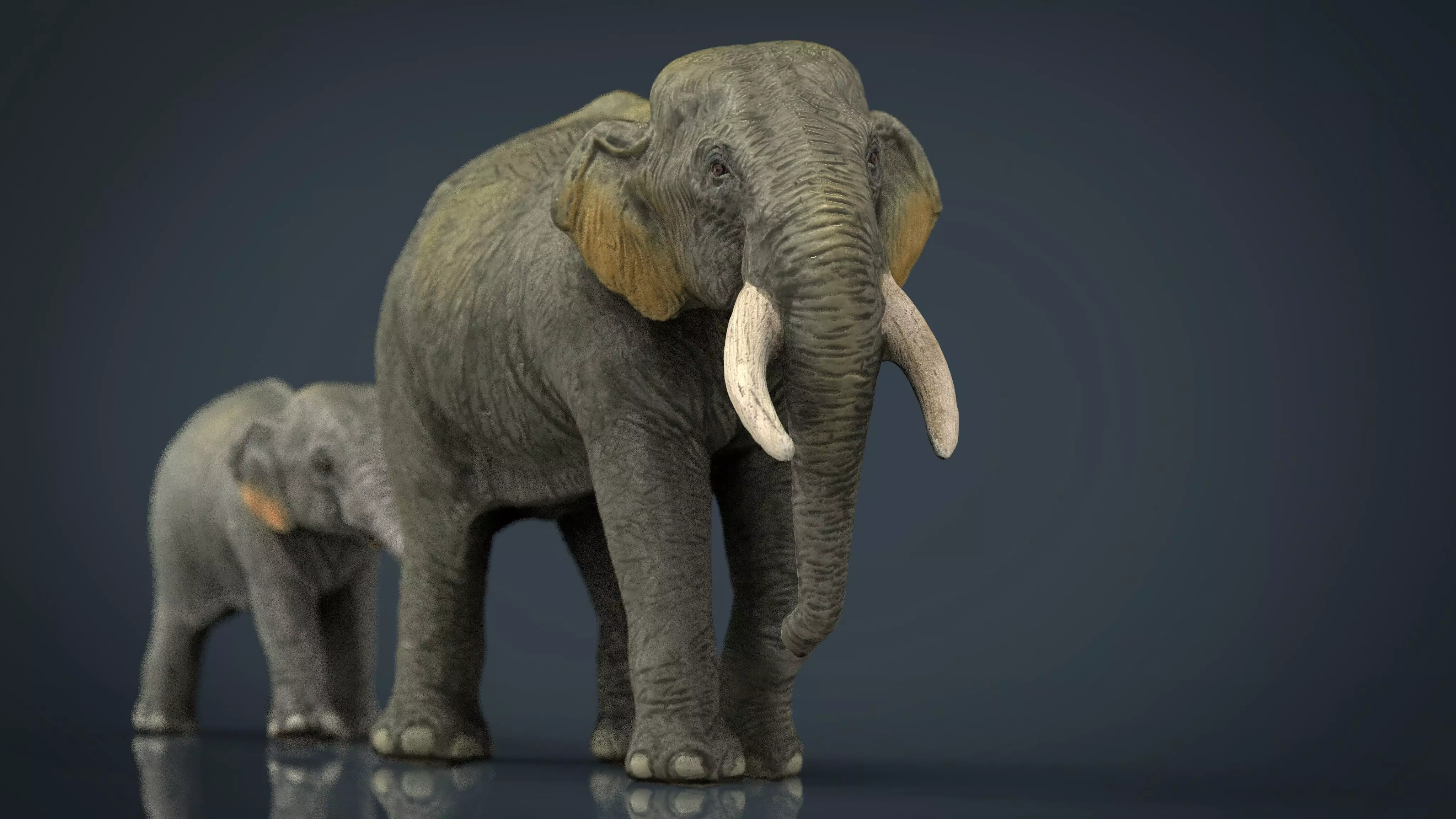 Asians Elephants Mother and Babe 3D model_0