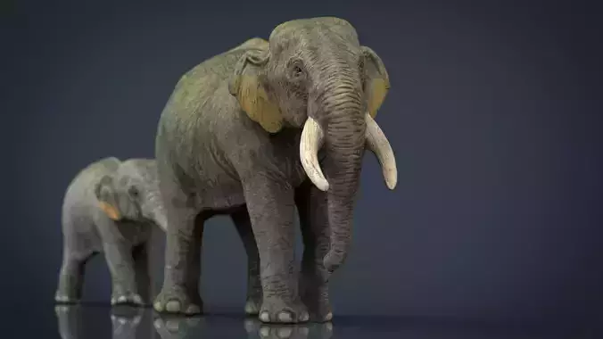Asians Elephants Mother and Babe 3D model