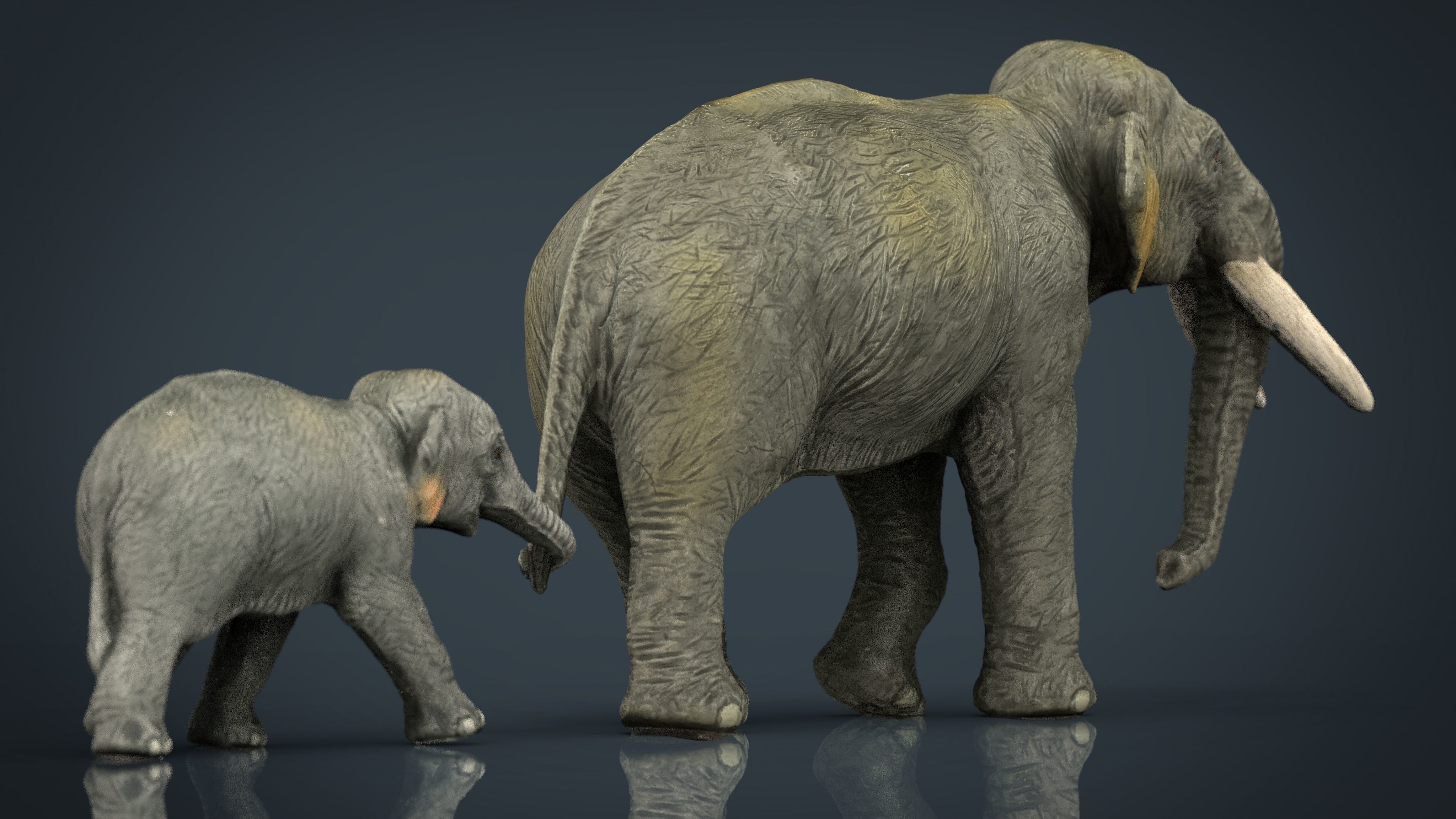 Asians Elephants Mother and Babe 3D model_20