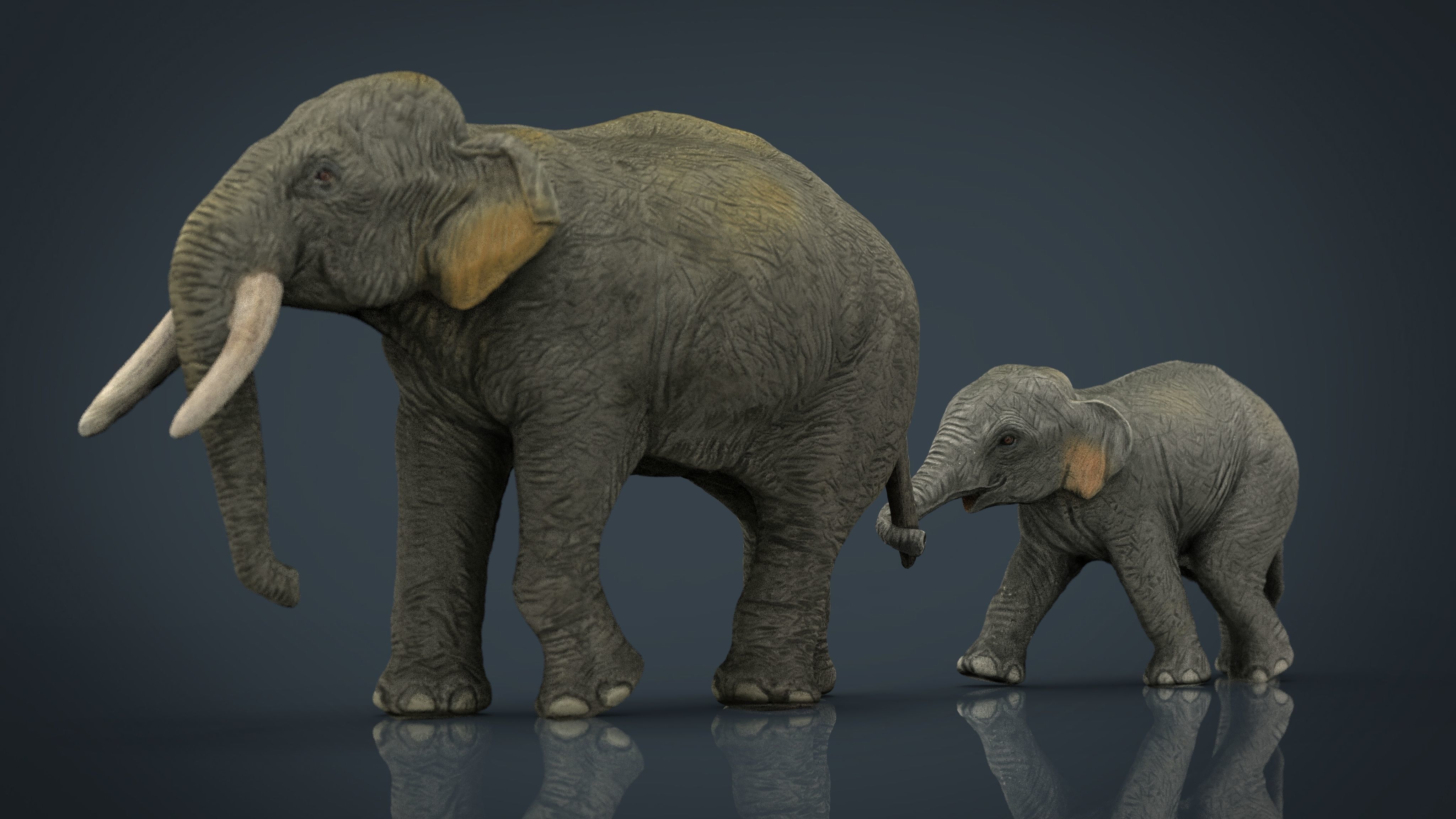 Asians Elephants Mother and Babe 3D model_7