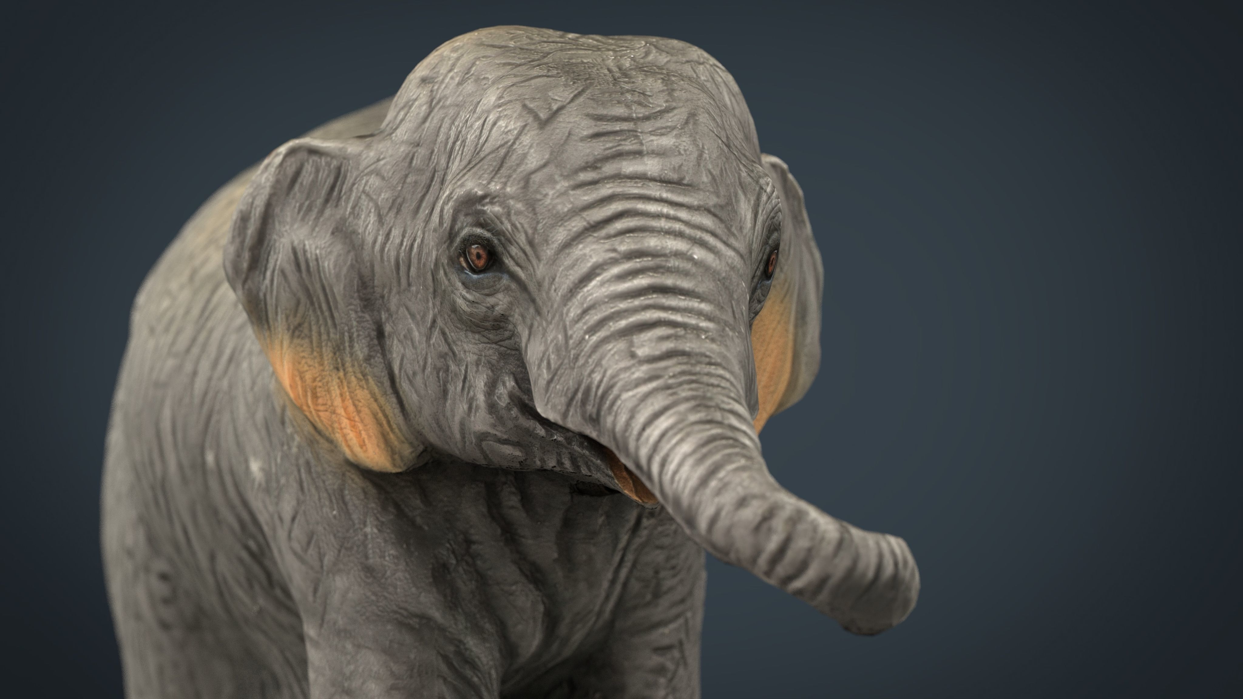 Asians Elephants Mother and Babe 3D model_13