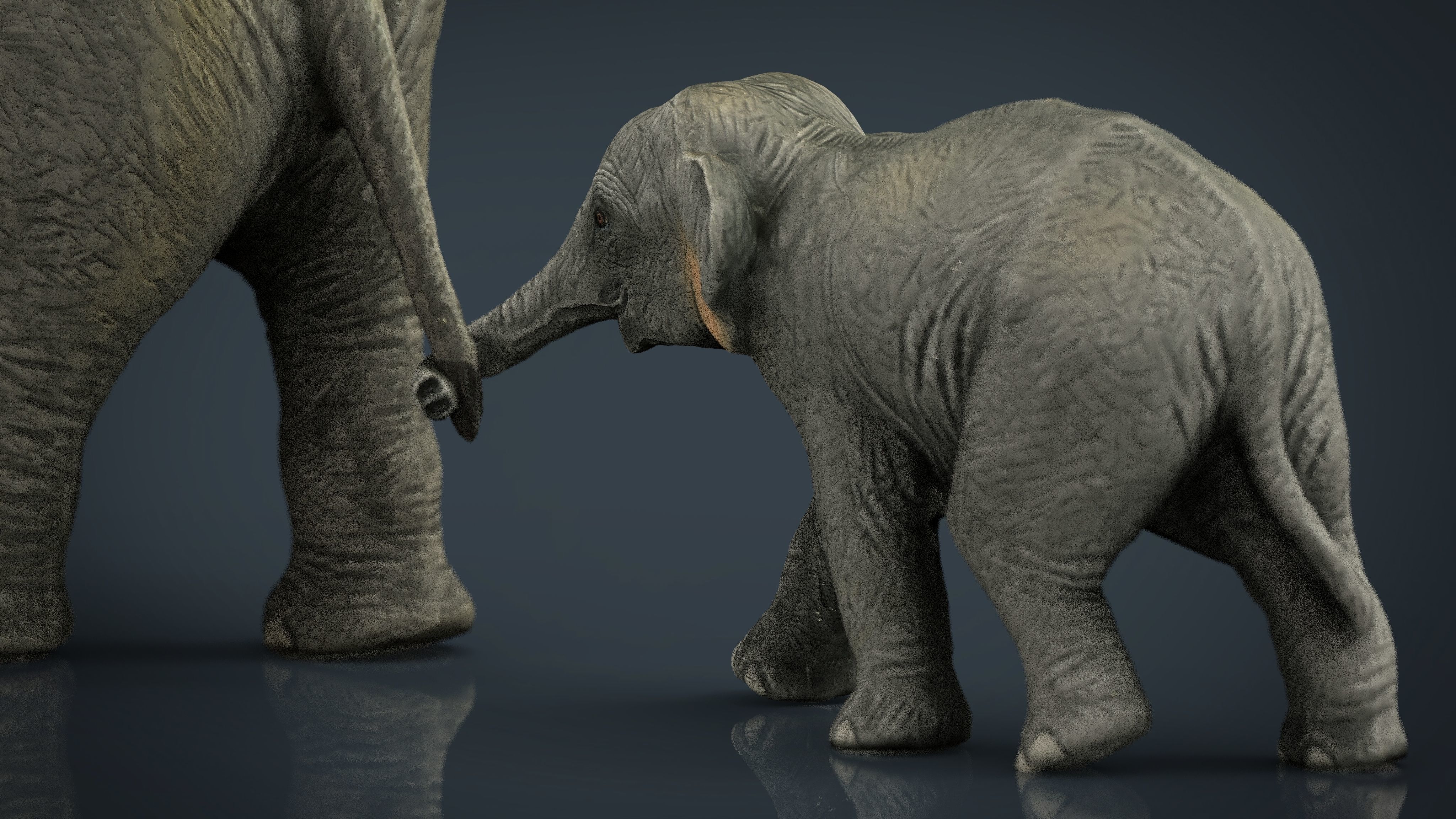Asians Elephants Mother and Babe 3D model_12