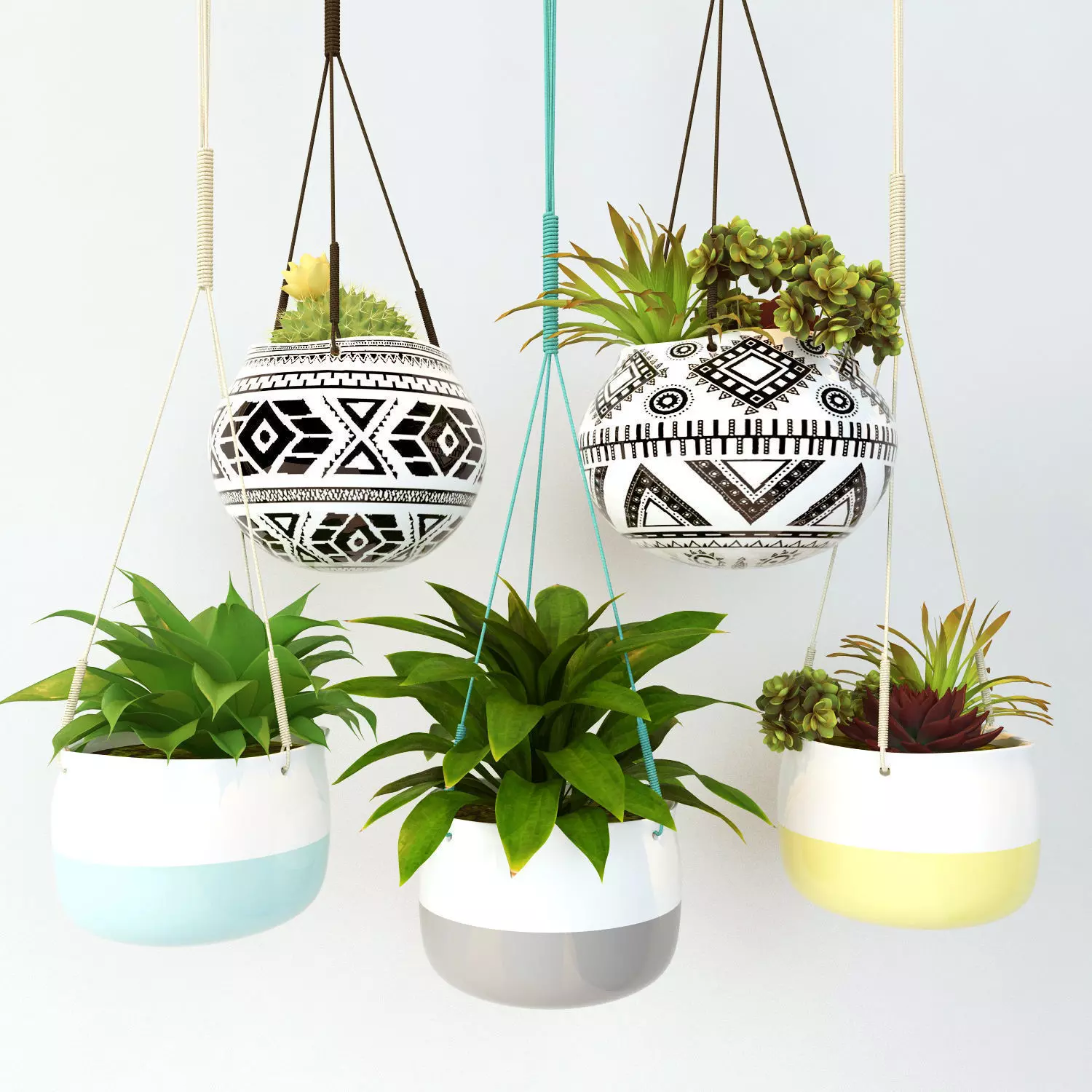 HaNGine diy hanging planters Low-poly 3D model