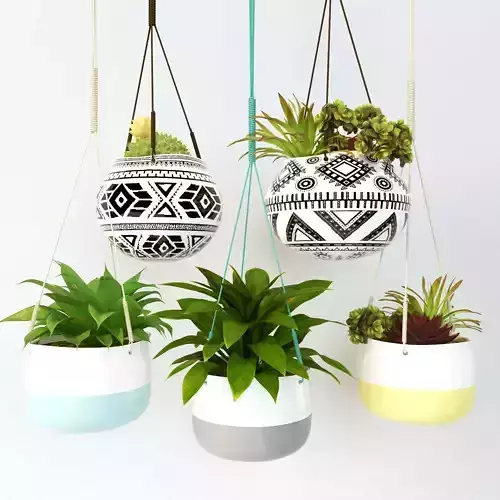 HaNGine diy hanging planters Low-poly 3D model