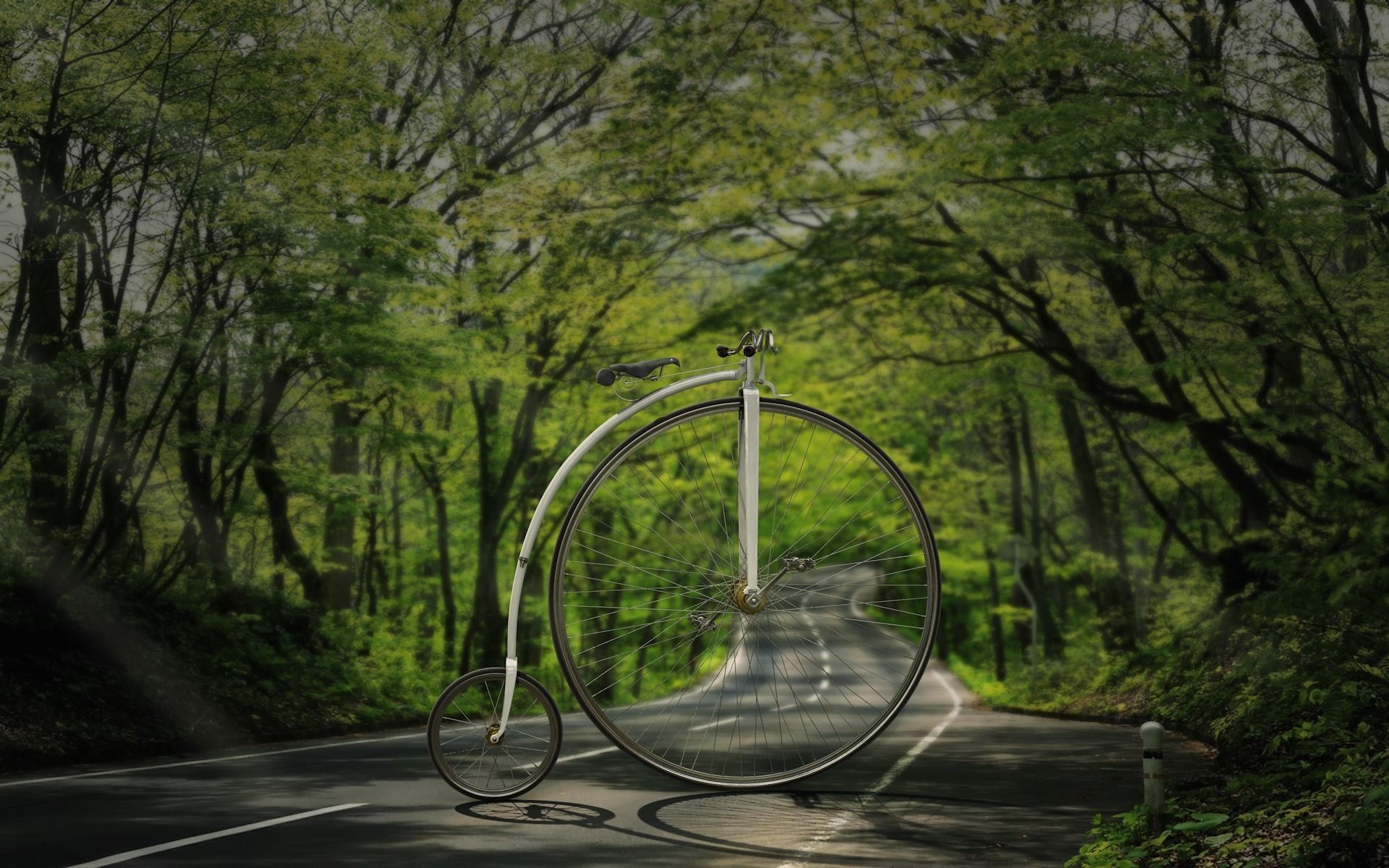 Bicycle - penny farthing  3D model_3