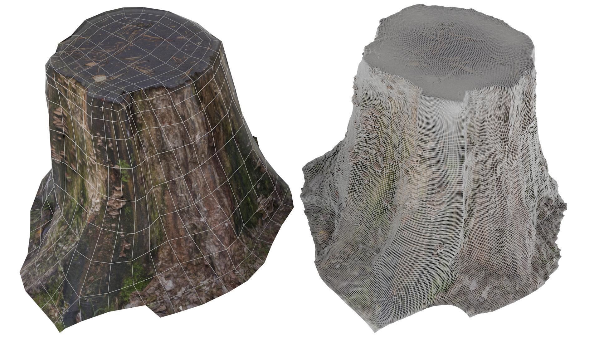 Tree Stump 02 - High and Low Poly versions Low-poly 3D model_1