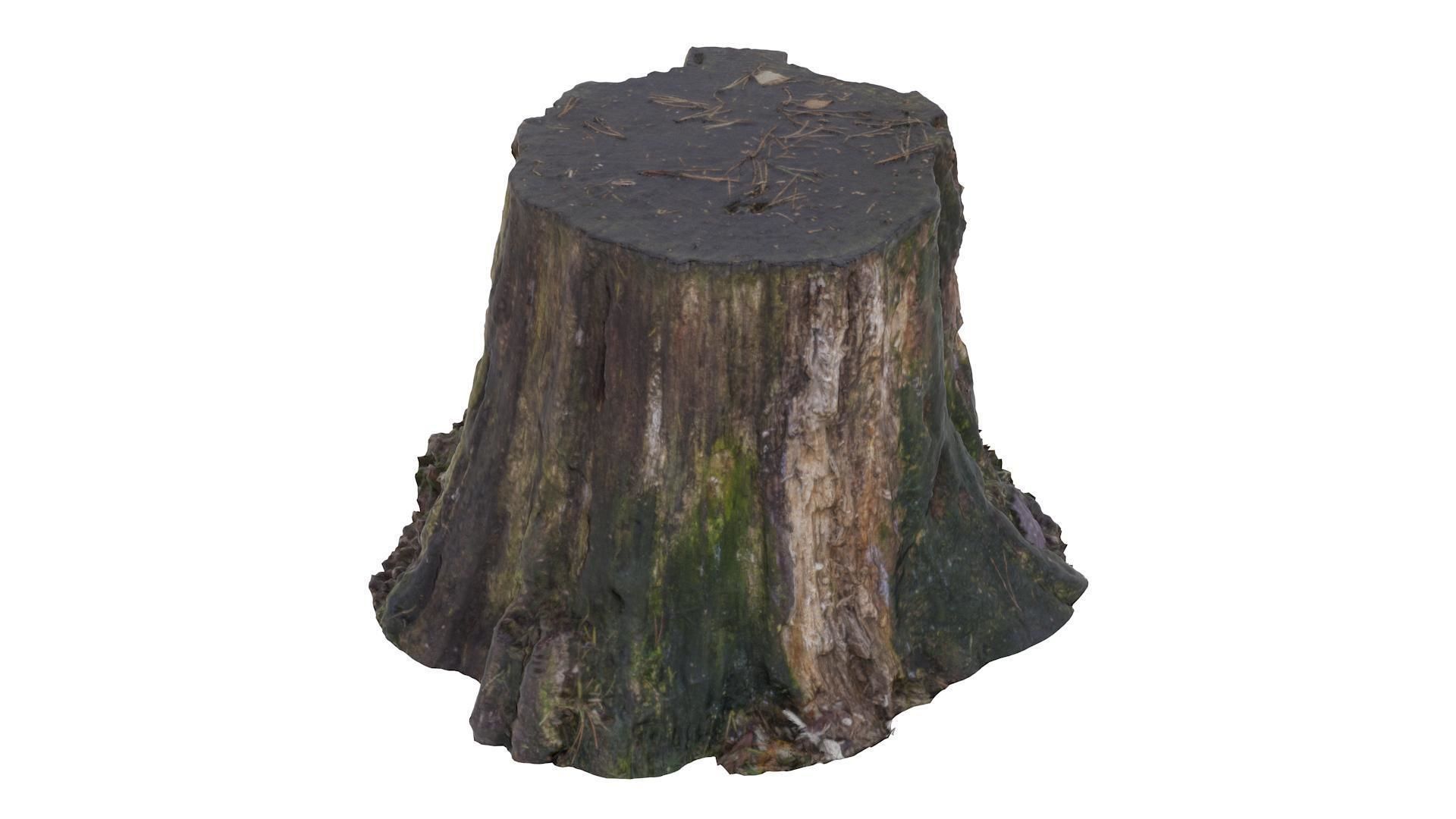 Tree Stump 02 - High and Low Poly versions Low-poly 3D model_4