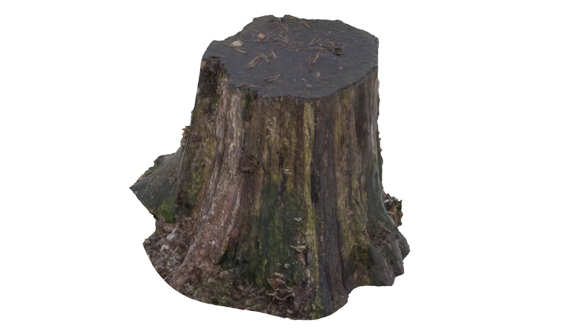 Tree Stump 02 - High and Low Poly versions Low-poly 3D model_2
