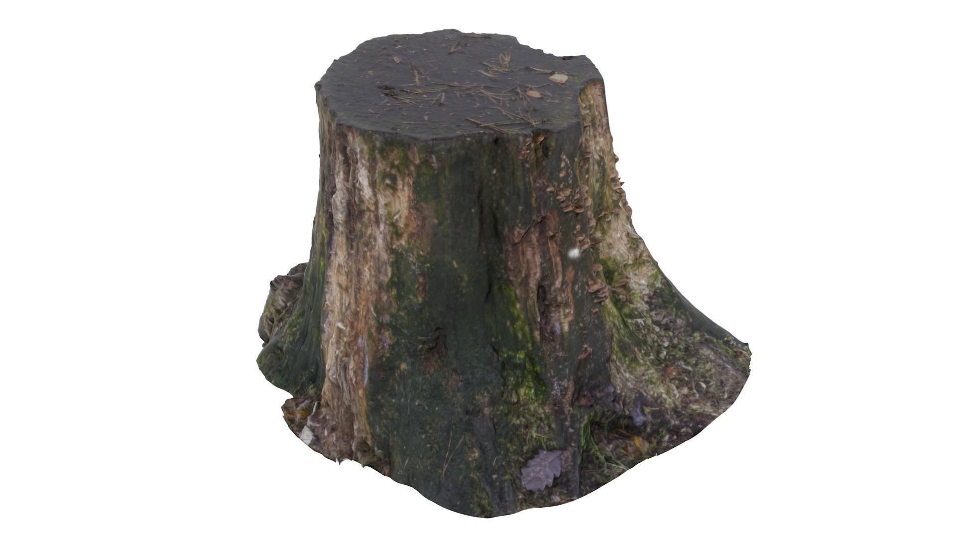 Tree Stump 02 - High and Low Poly versions Low-poly 3D model_3