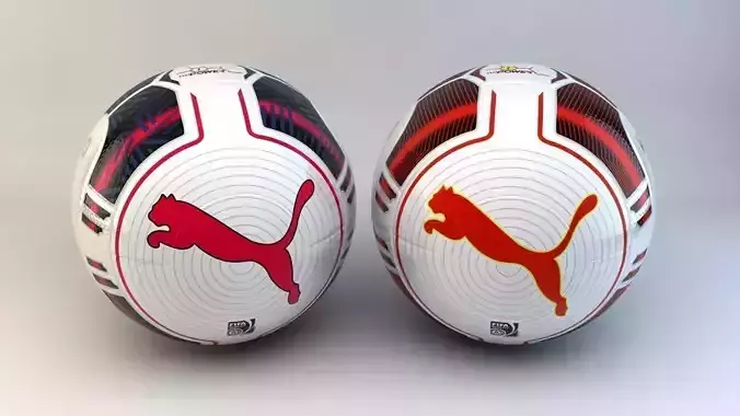 Puma evoPower 1 Statement and Statement 15 Official Match Ball