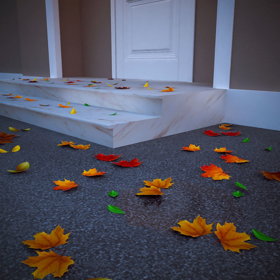 Door Entrance set  3D model_13