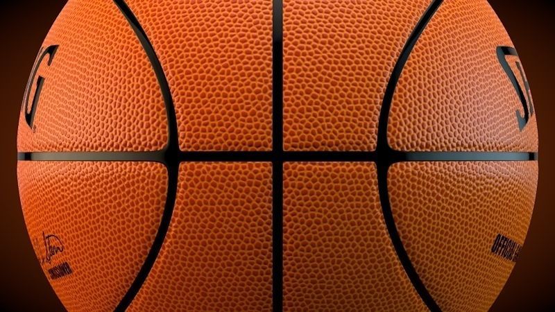 Spalding Official NBA Ball 3D model_3