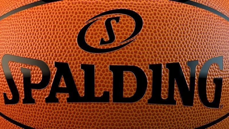 Spalding Official NBA Ball 3D model_4