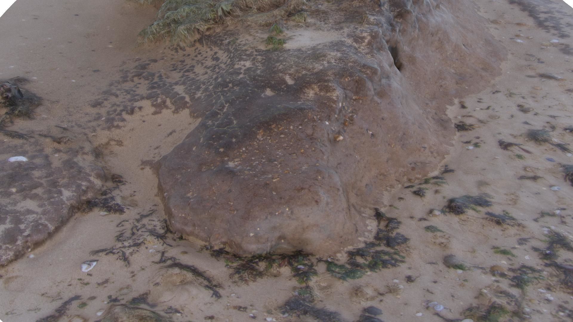 Beach Mud Mound - High and Low Poly versions Low-poly 3D model_1