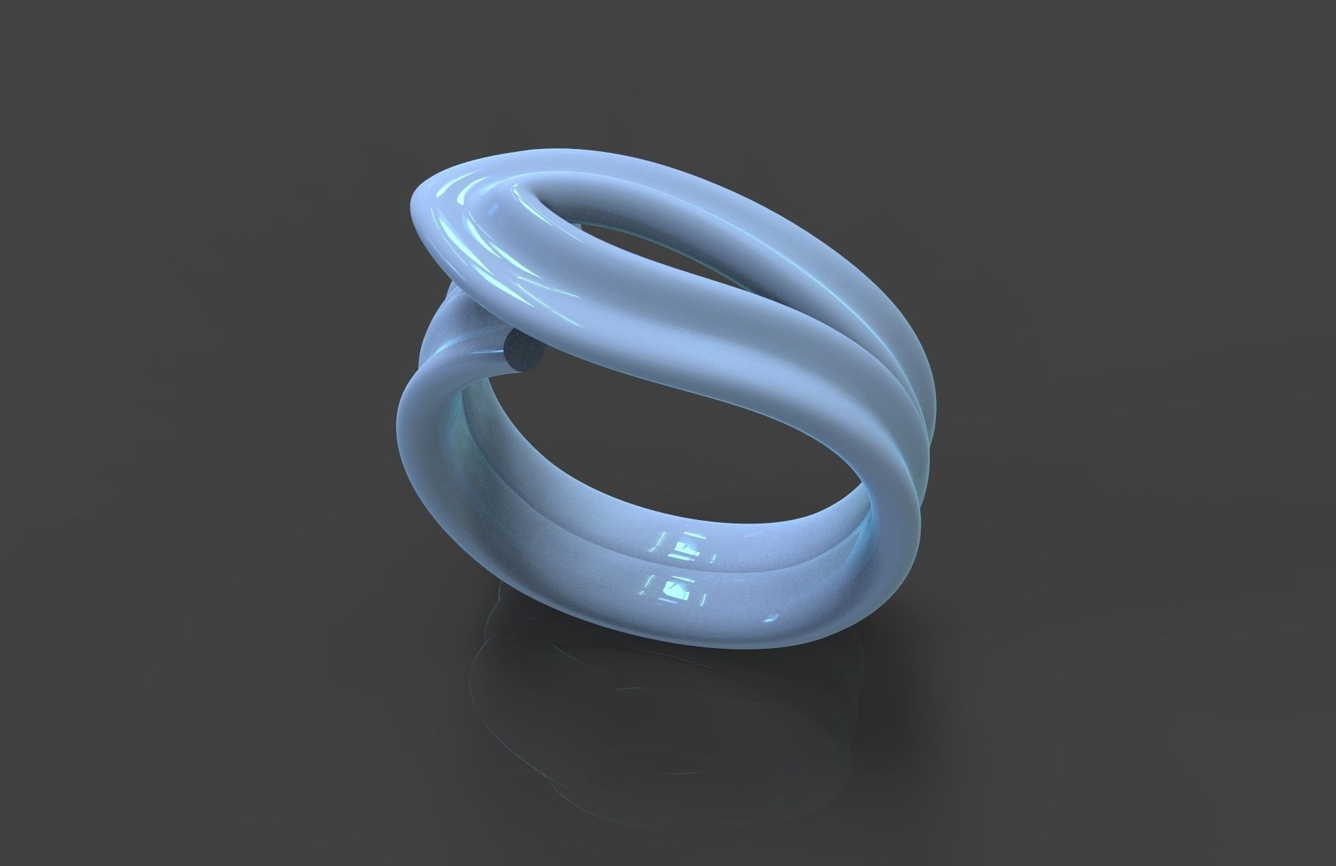 Ring Silk 3D print model_1