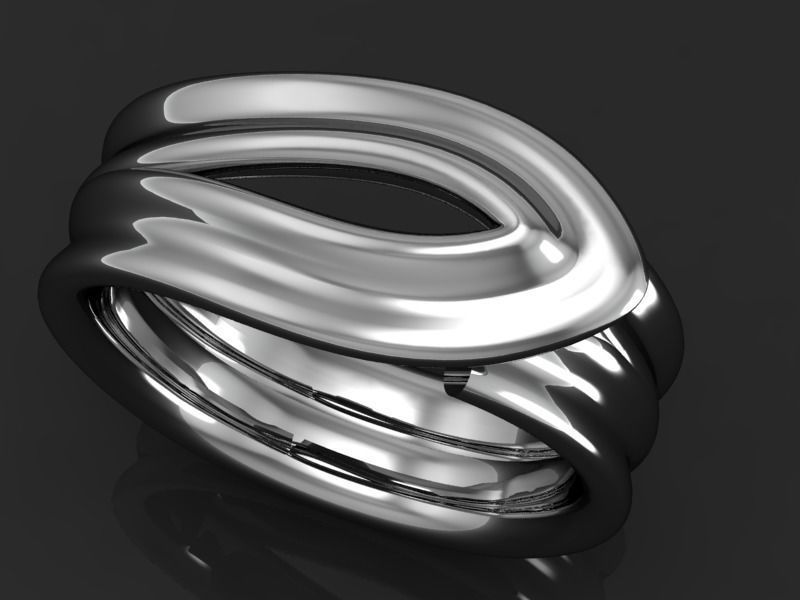 Ring Silk 3D print model_2