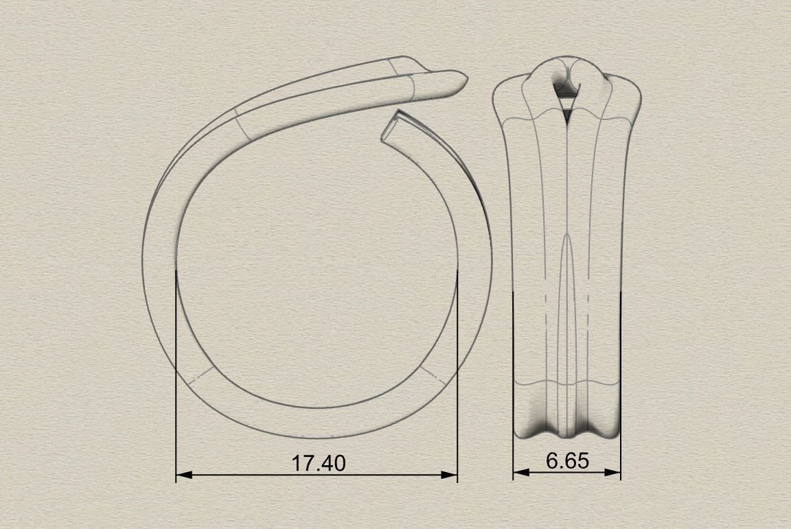 Ring Silk 3D print model_5