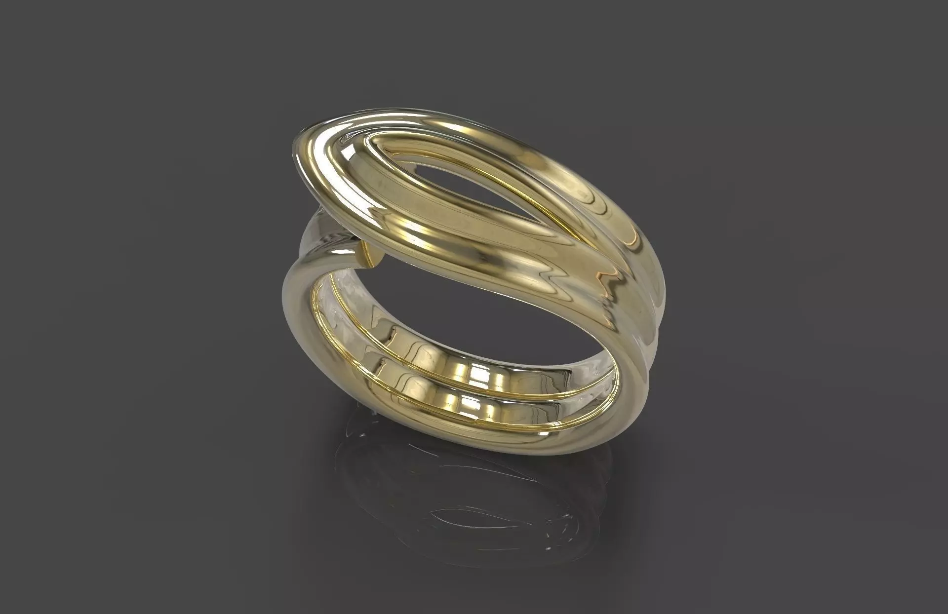 Ring Silk 3D print model_0
