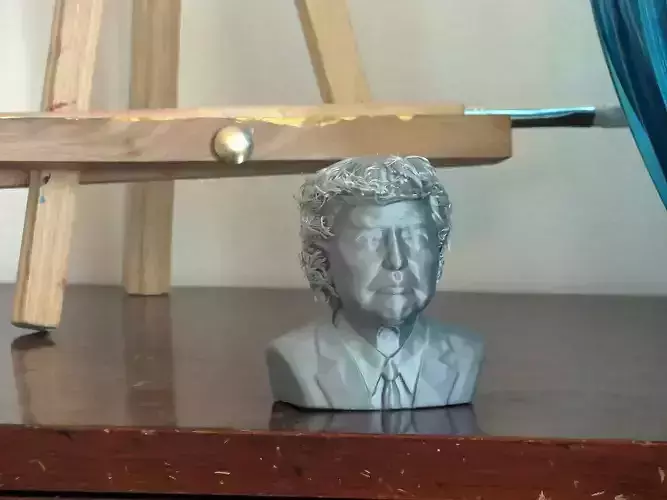 unique Donald Trump Free 3D print model