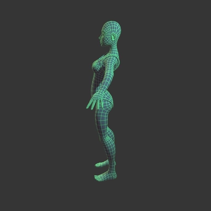 Complete cartoon woman Low-poly 3D model_15