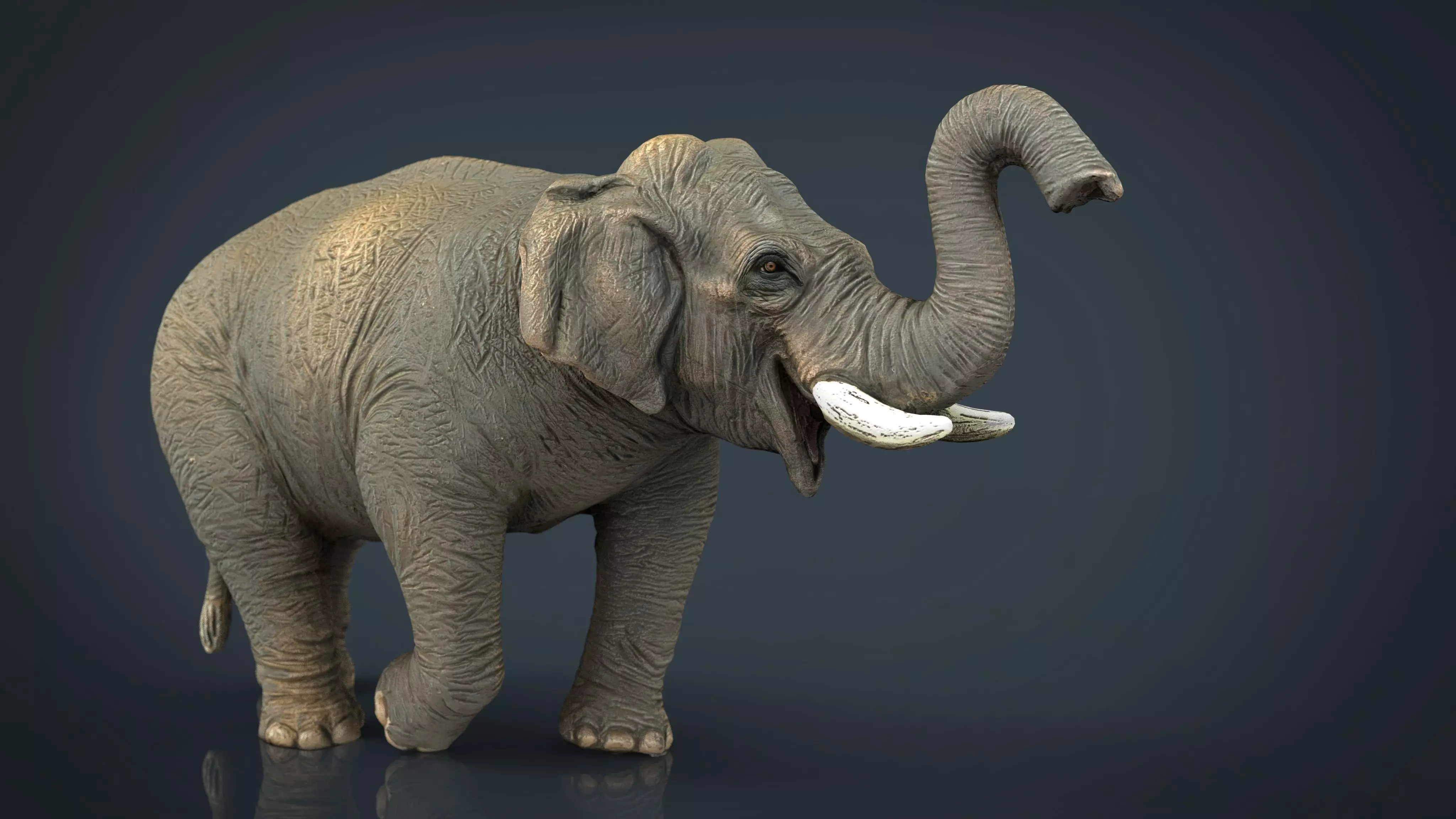 Asian Elephant 2 Low-poly 3D model_0