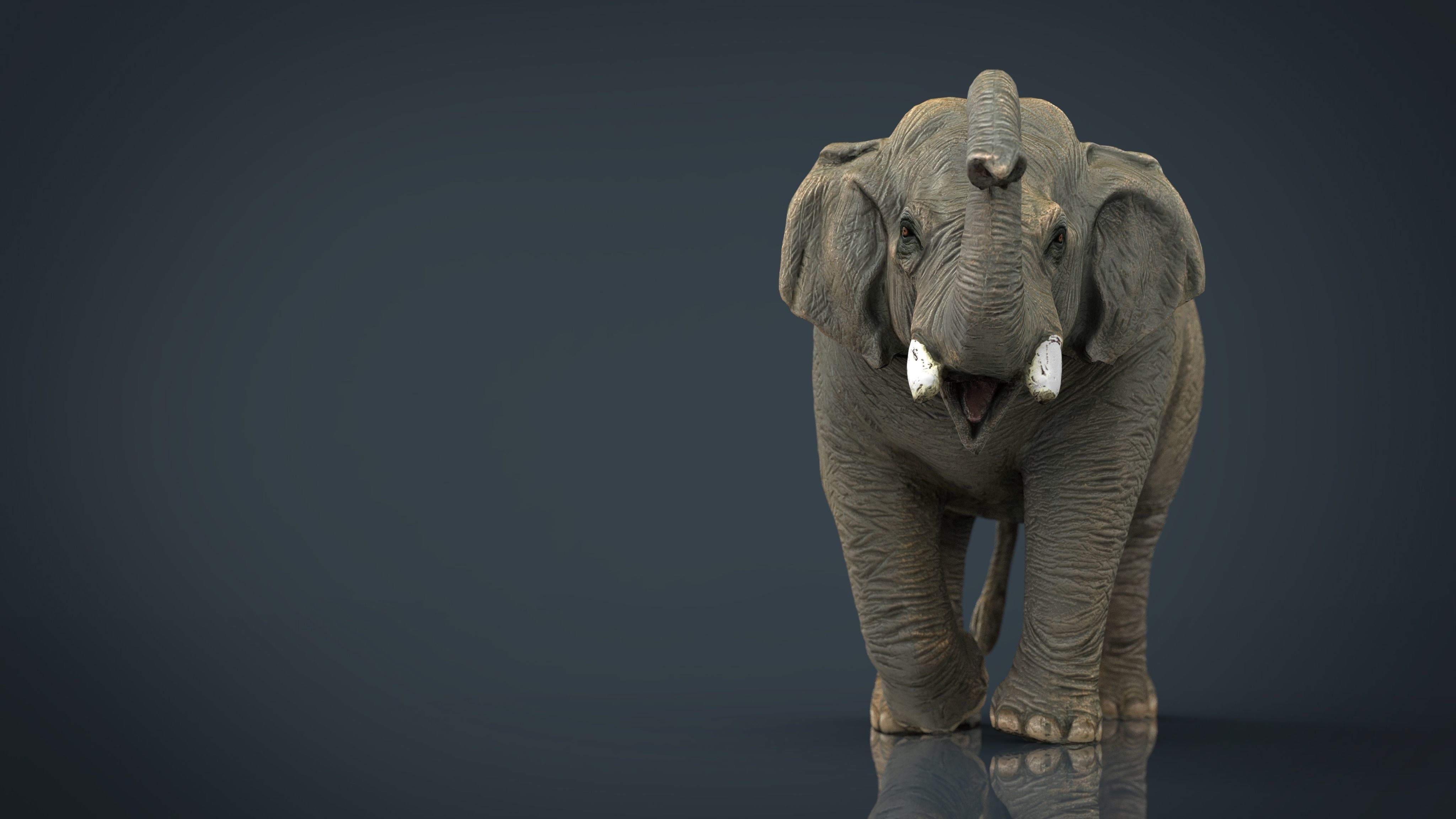 Asian Elephant 2 Low-poly 3D model_10